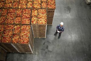 Exportação de alimentos: conheça as etapas e legislações